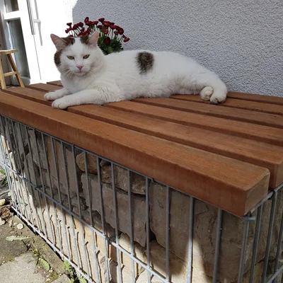 Referenz: Sitzbankauflagen Referenz: Sitzbankauflagen